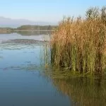 Lago di Candia, alla scoperta delle origini preistoriche