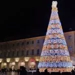 Iniziata la rimozione dell’Albero di Piazza San Carlo