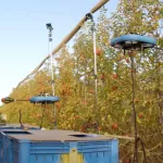 I droni nel futuro dell’agricoltura in Piemonte: i robot raccolgono le mele