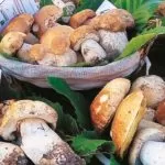 Boom di funghi in Piemonte, il merito è delle forti piogge del 2023