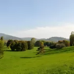 Piantati 1000 alberi del progetto Think Forestry al Parco Colletta di Torino