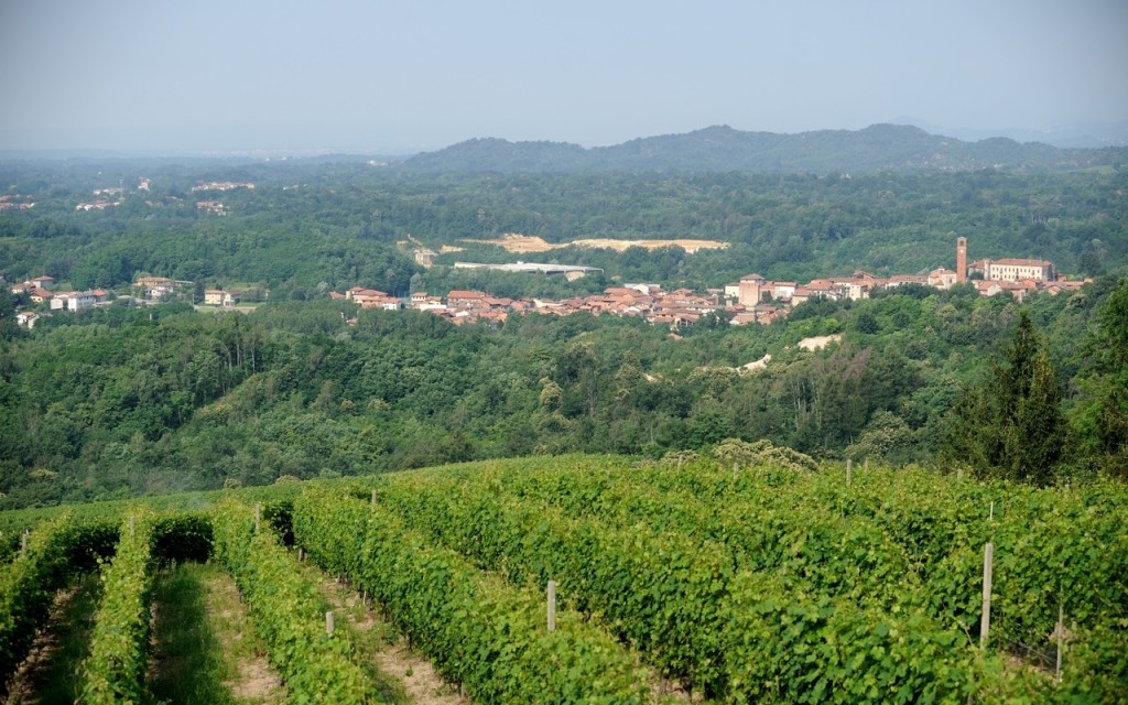 il Gattinara Piemonte vino