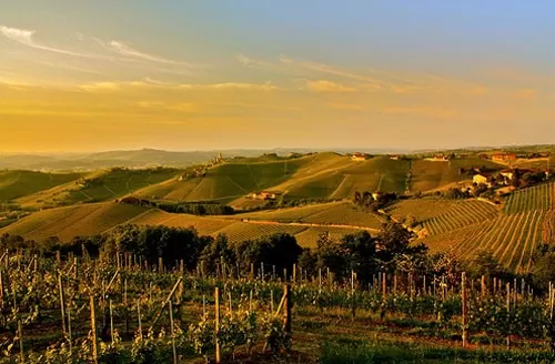 Piemonte terre da vino Vercelli Novara