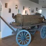 Museo della Viticoltura di Prarostino: tracciando la storia del ino