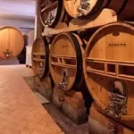 Poderi e Cantine Oddero: una grande famiglia del vino