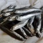 Acciughe: il pesce tipico della cucina del Piemonte