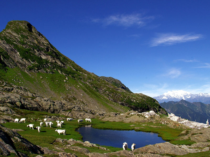 Photo of Settembre 2013: il Parco Nazionale Val Grande diventa patrimonio Unesco