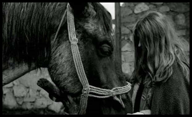 La pazzia di Nietzsche nel film "il cavallo di Torino"
