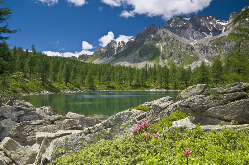 Il Piemonte è l'undicesima regione d'Italia per numero di turisti