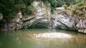 le guje di garavot - Mole24.it