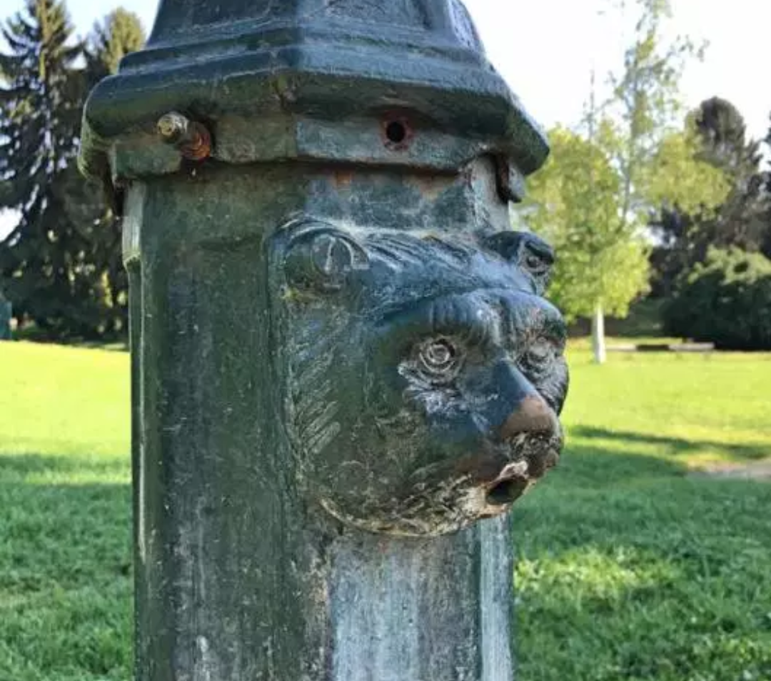 Photo of Lo strano torèt a forma di leonessa del Parco della Pellerina