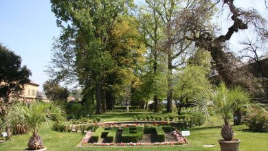 Photo of Orto Botanico di Torino, un’oasi vegetale nel cuore della città