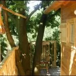 Piemonte, i 4 hotel sugli alberi che regalano soggiorni alternativi