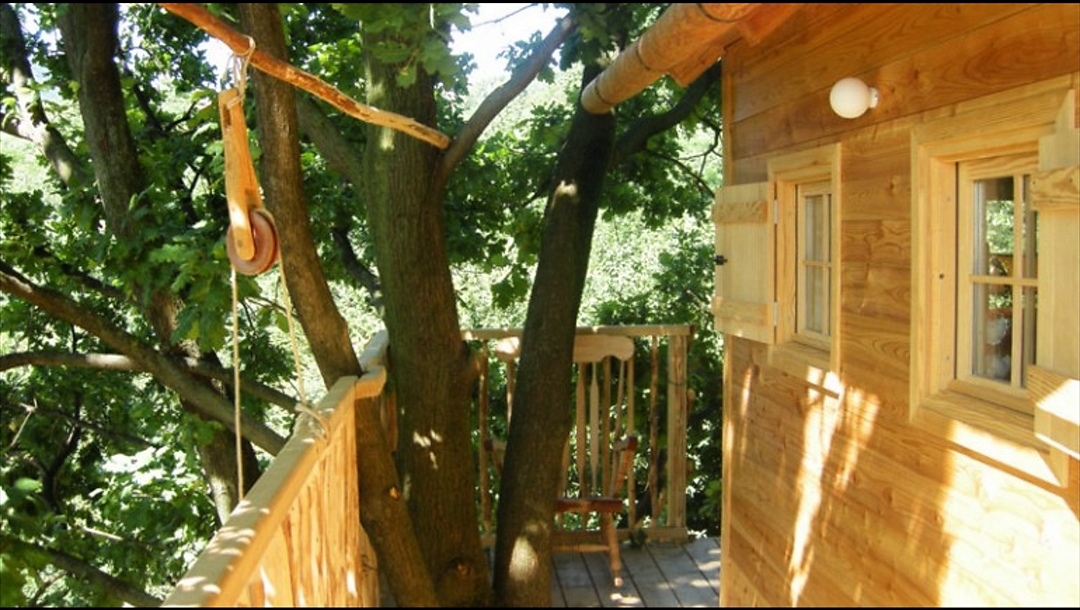 Piemonte, i 4 hotel sugli alberi che regalano soggiorni alternativi