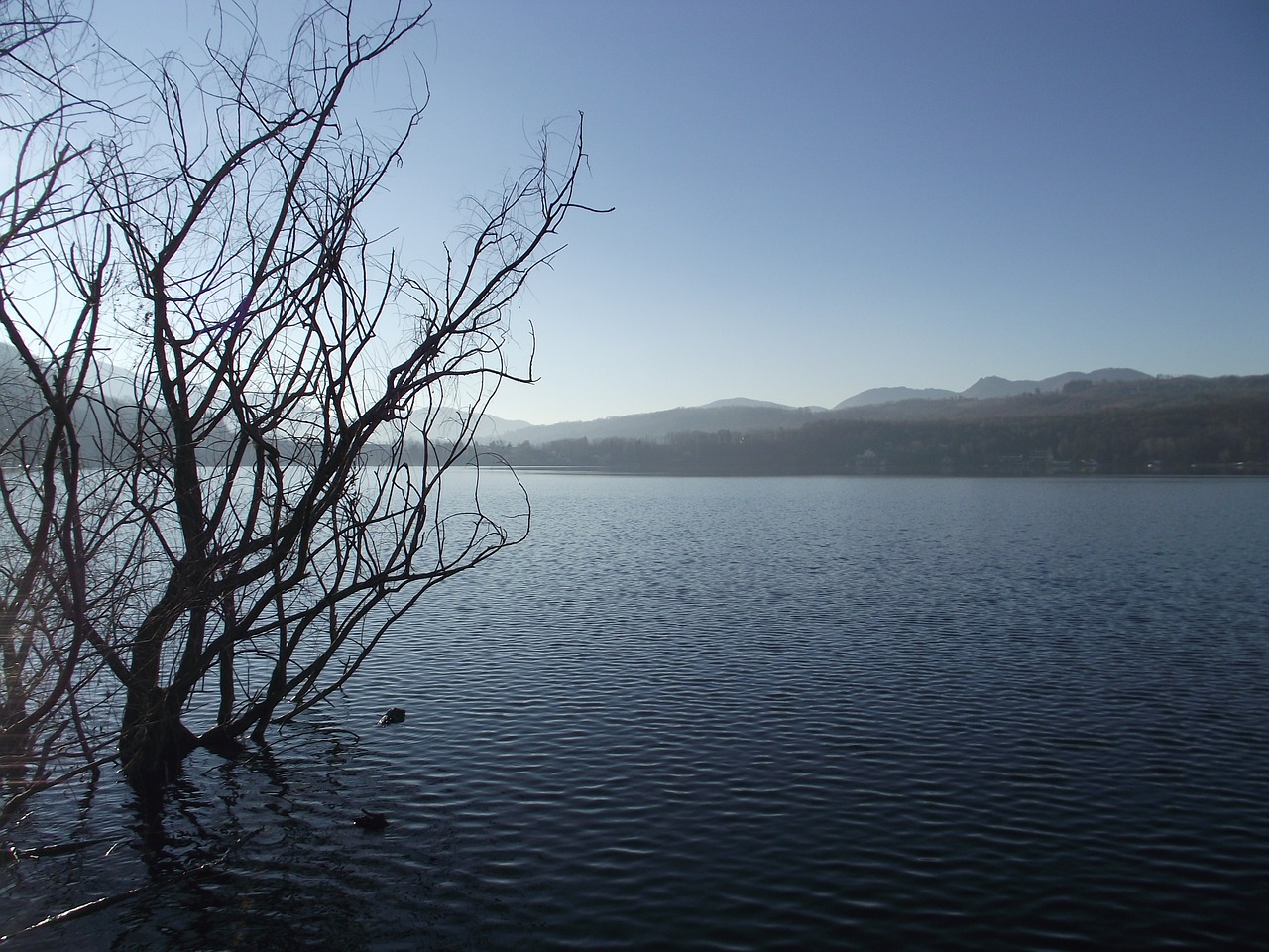 Photo of Il fantasma del Lago di Avigliana