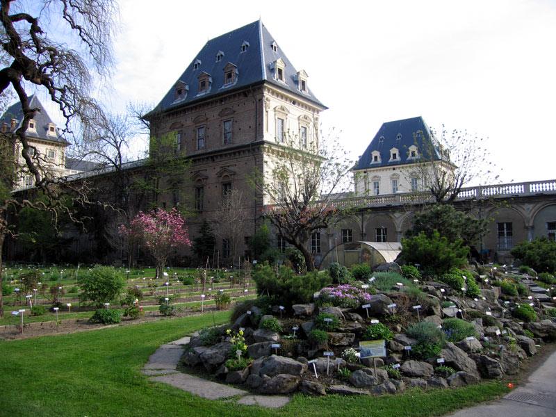 Photo of Riapre l’Orto Botanico di Torino: un’oasi con fiori e piante da tutto il mondo nel Parco del Valentino