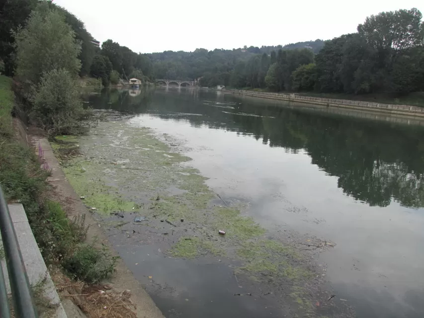 Emergenza plastica nel Po: nelle acque del fiume mille tonnellate all'anno
