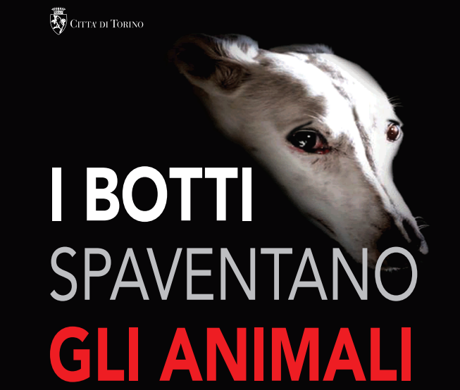 Photo of Vietati i botti di Capodanno a Torino: la campagna per proteggere gli animali con Gtt