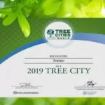 La FAO celebra Torino tra le 60 “Tree Cities of the World” per la presenza di verde pubblico
