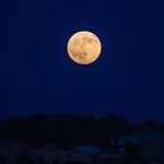 Stasera affacciatevi ai balconi: sarà visibile la Superluna, la più grande dell’anno