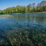 Il fiume Po torna a splendere dopo anni di sporcizia: l’effetto della quarantena sul fiume
