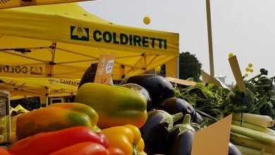 Photo of Il Mercato Coldiretti in piazza Vittorio Veneto torna per questa domenica