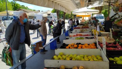 Photo of Crisi del settore agricolo, quest’estate niente frutta in tavola: 1 frutto su 5 sparirà