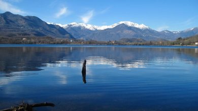 Photo of I laghi di Avigliana e Viverone nel mirino di Legambiente. Ma anche il lago d’Orta.