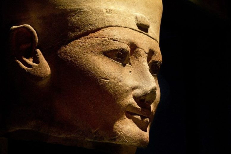 Primo piano di una statua femminile di una statua all'interno del Museo Egizio