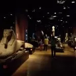 Agosto 2020: il Museo Egizio aprirà tutti i giorni