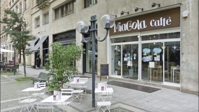Photo of Chiude MiaGola: il bar per gatti di Torino