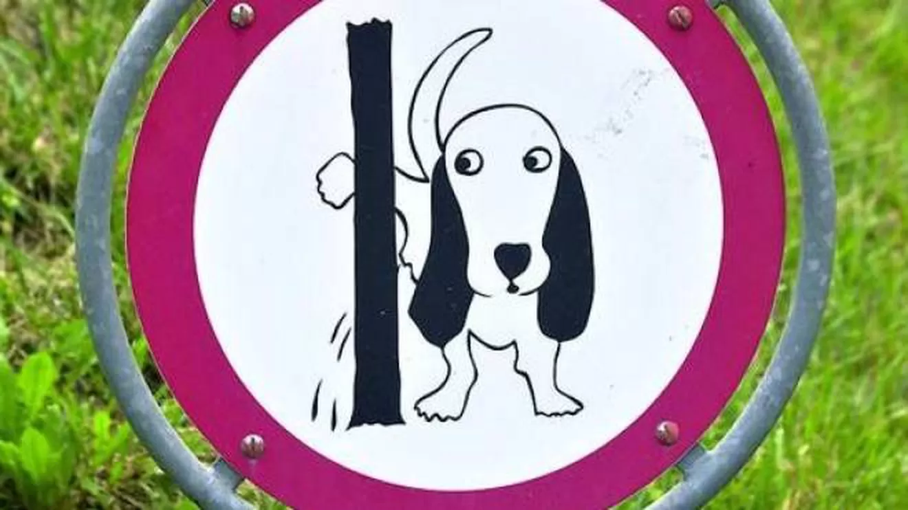 Cartello con divieto cane urinare