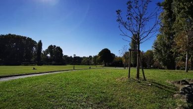 Photo of Piantati 3mila nuovi alberi a Torino grazie a IKEA nel Parco Piemonte