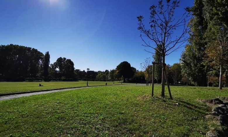 Piantati 3mila nuovi alberi a Torino grazie a IKEA nel Parco Piemonte