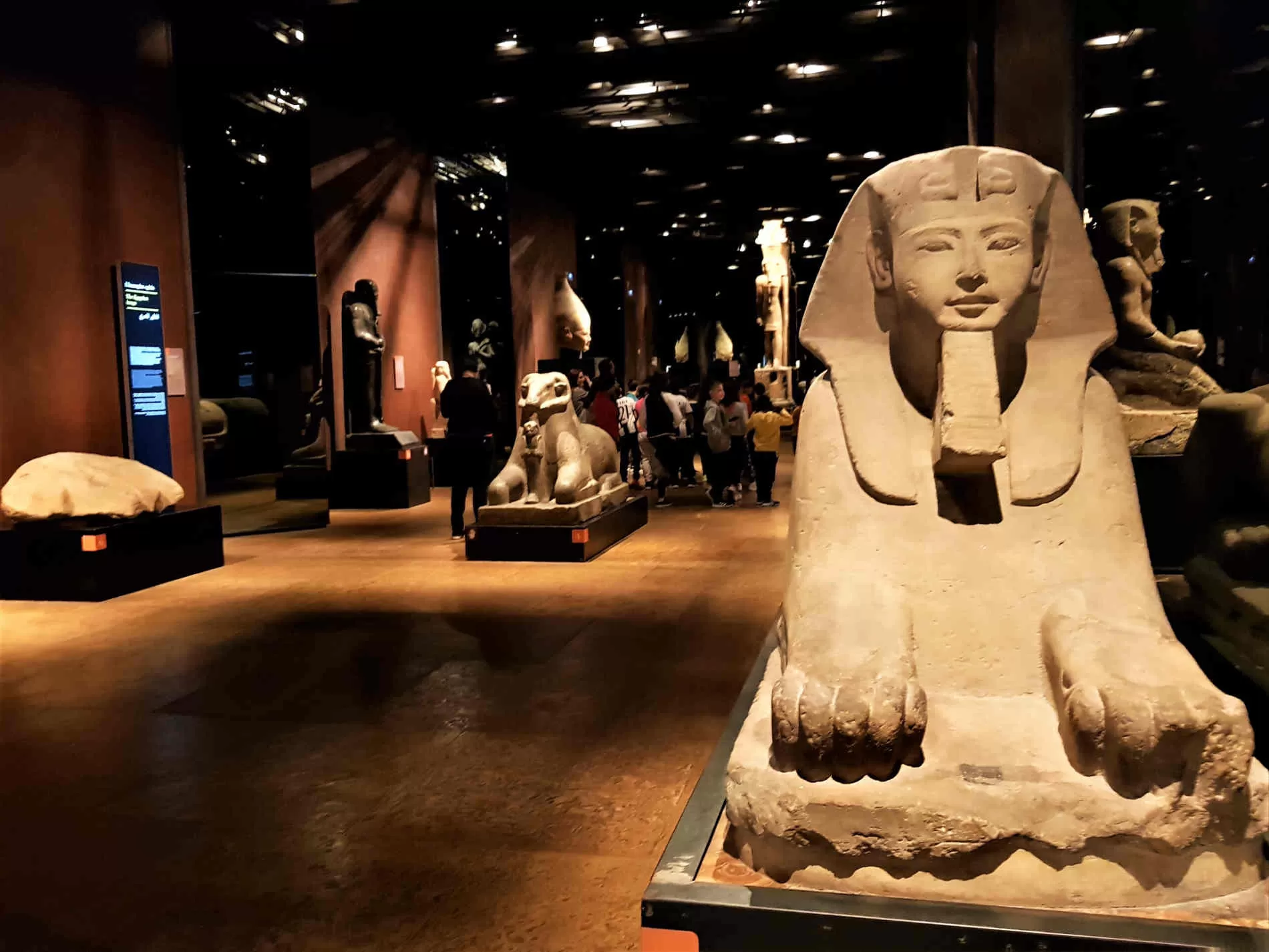 Museo egizio gratis per la Festa di San Giovanni a Torino