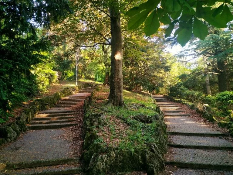 Scalinata del parco Villa Genero con alberi
