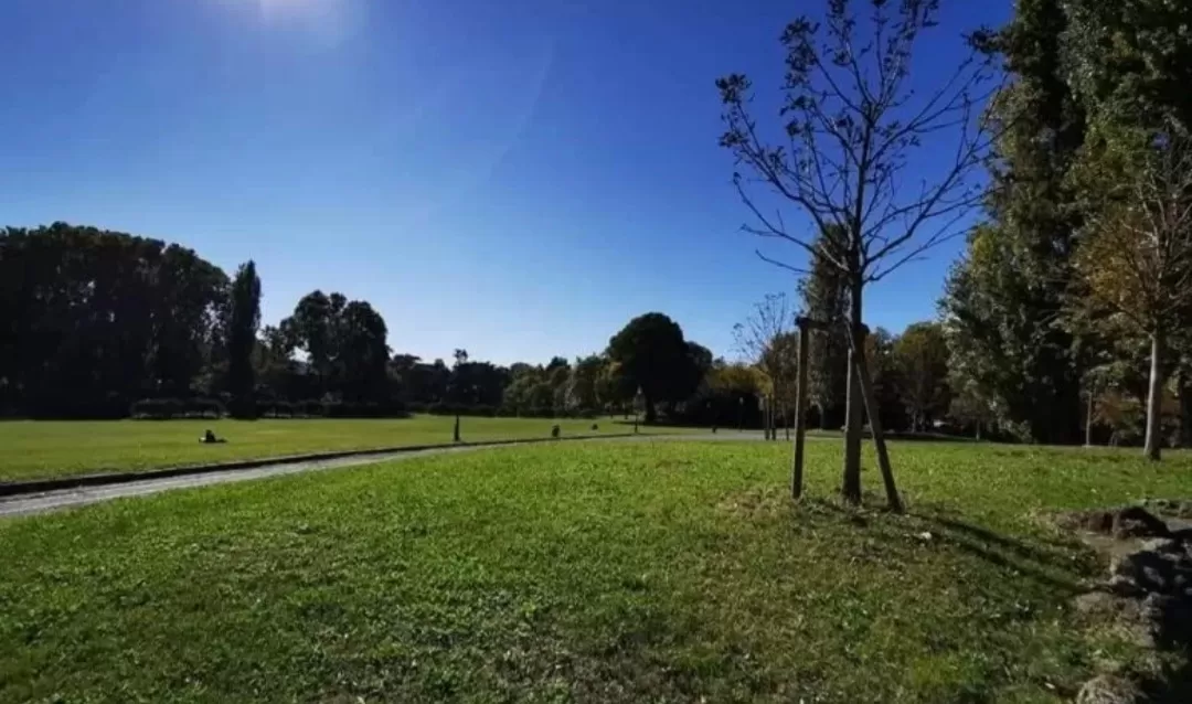 prato ed alberi in un giardino di Torino