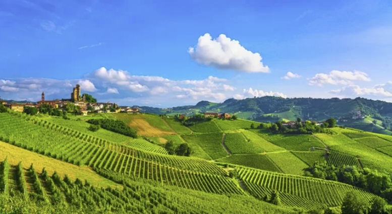 Panorama delle Langhe e Monferrato
