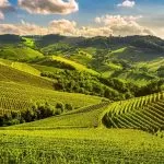 Piemonte, a Langhe e Roero si svolgerà la conferenza Onu sul Turismo Enologico del 2022