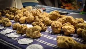 Eventi, rimandata la Fiera del Tartufo di Alba di una settimana