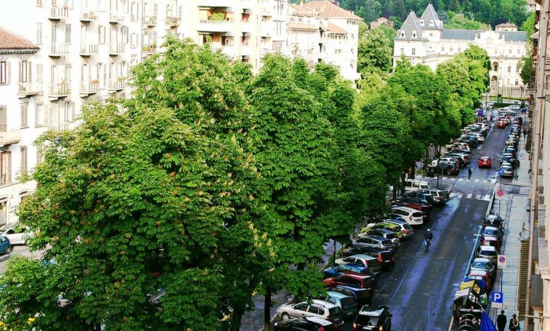 Torino, Corso Marconi vede nuovi cambiamenti: cancellati 80 parcheggi