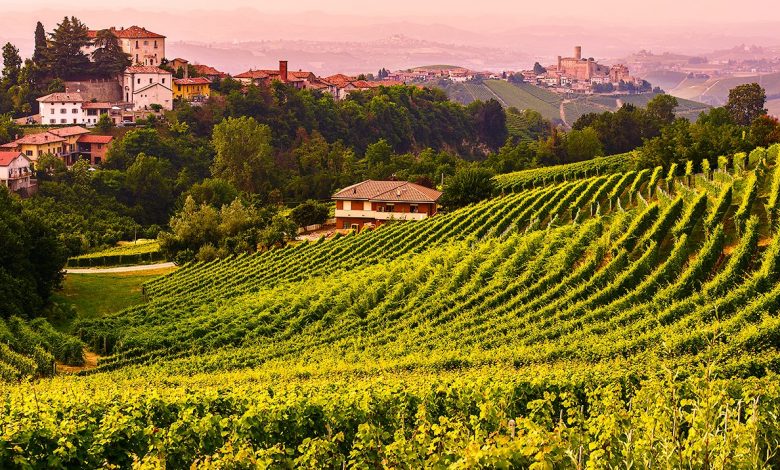 Enogastronomia, Vini d’Italia 2022: grande successo per il Piemonte