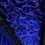 Eventi, Torino torna a illuminarsi con Luci d’Artista 2021