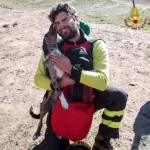Pragelato, paura per un cane caduto in un dirupo: salvato dai vigili del fuoco