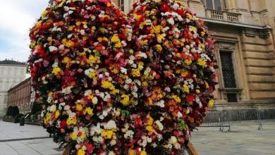 Photo of Torino, torna il cuore fiorito in piazza San Carlo per San Valentino: oggi l’inaugurazione