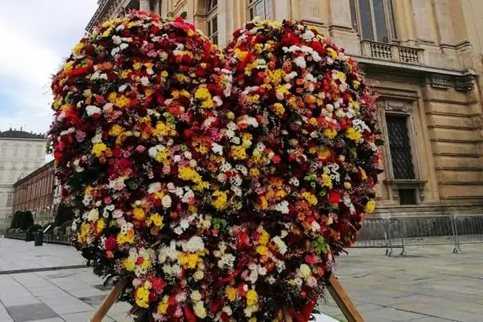 Torino, torna il cuore fiorito in piazza San Carlo per San Valentino: oggi l'inaugurazione