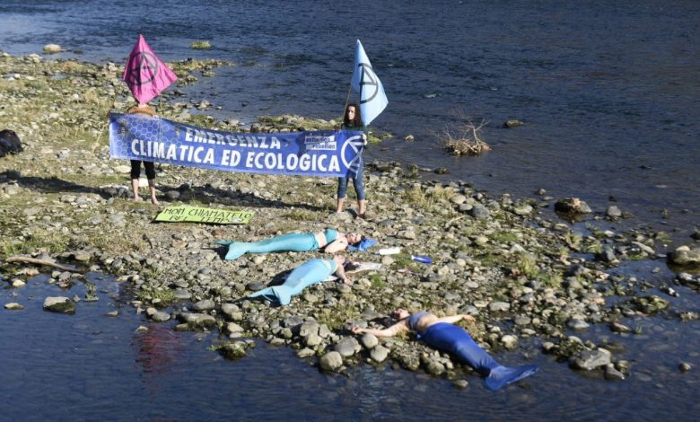 Torino, sirene morte spiaggiate in riva al Po: gli Extinction Rebellion contro la siccità