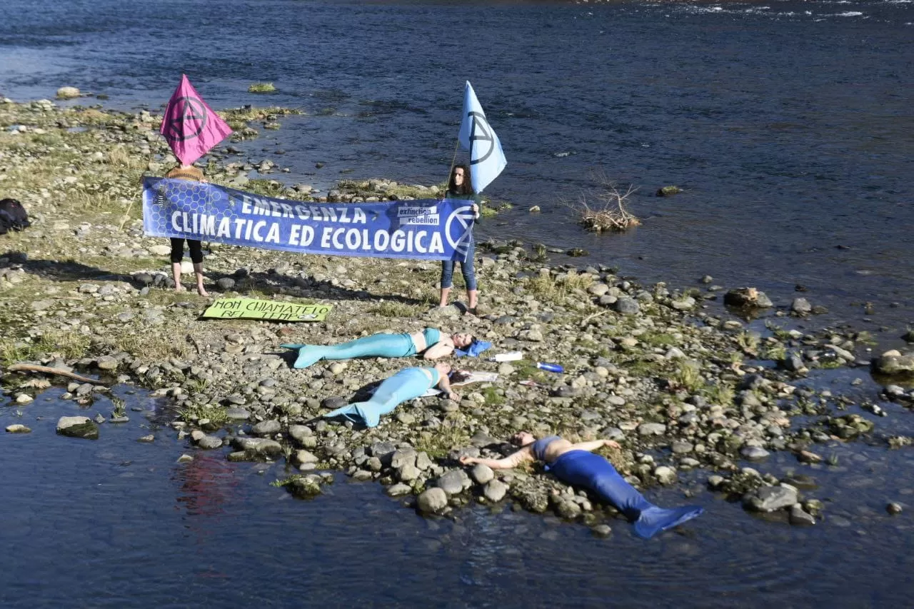 Torino, sirene morte spiaggiate in riva al Po: gli Extinction Rebellion contro la siccità