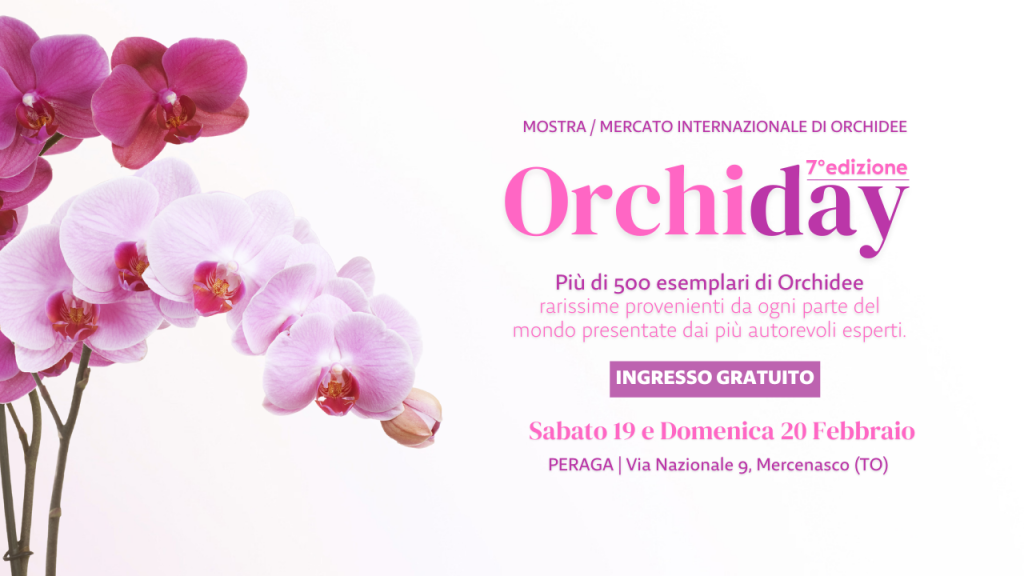 Orchiday 2022 - La Mostra Internazionale delle Orchidee