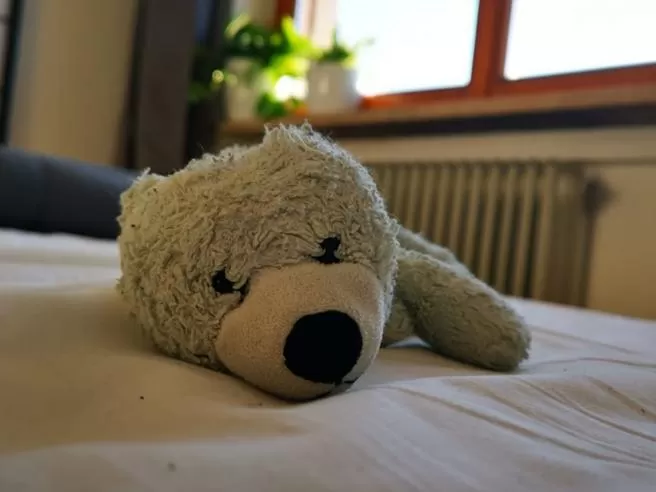 Venaria, smarrito un orsetto di peluche: il proprietario offre 200€ a chi lo riconsegnerà